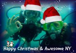 Merry Christmas & Awesome&nbsp;NY